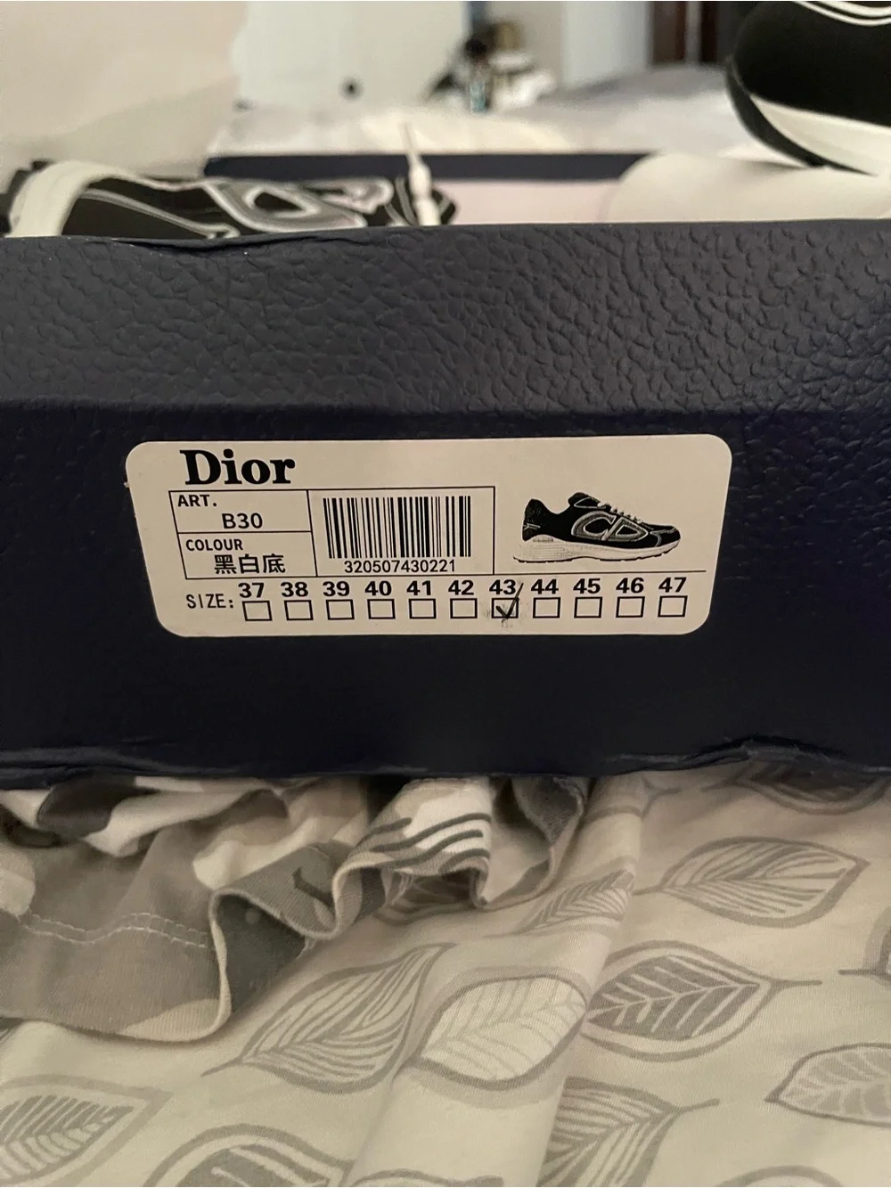 Dior B30 Sneakers in Black and White Box Label